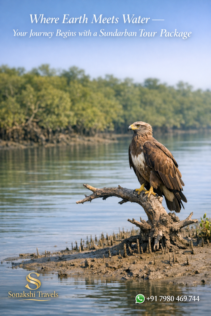Your Journey Begins with a Sundarban Tour Package