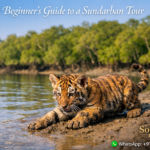 A Beginner’s Guide to a Sundarban Tour