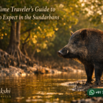 A First-Time Traveler’s Guide to What to Expect in the Sundarbans