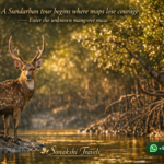 A Sundarban tour begins where maps lose courage