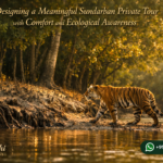 Designing a Meaningful Sundarban Private Tour with Comfort and Ecological Awareness
