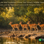 Designing the Ideal Sundarban Private Tour: Privacy, Wildlife, Seasonality, Cuisine, and the Meaning of Luxury in the Mangrove Delta