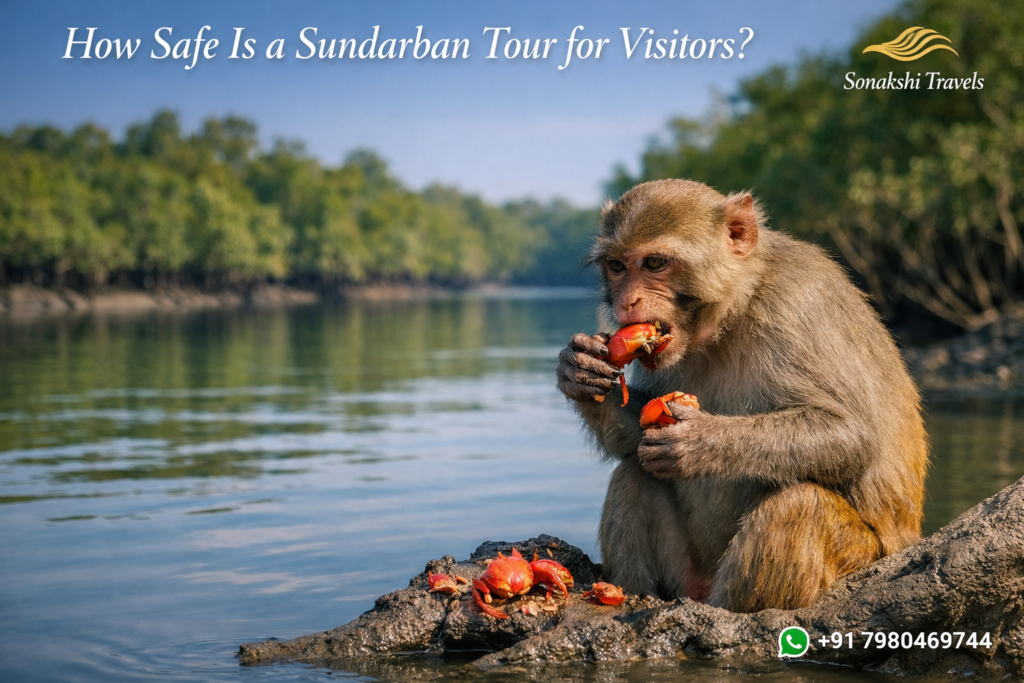 How Safe Is a Sundarban Tour for Visitors?
