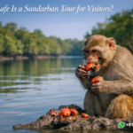 How Safe Is a Sundarban Tour for Visitors?
