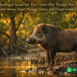 How a Meaningful Sundarban Tour Comes Alive Through Slow Travel, Seasonal Beauty, Smart Package Choice, and Private Comfort