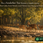 How a Sundarban Tour Becomes a Complete Journey Through River Calm, Forest Wonder, Local Flavour, Smart Planning, and Private Luxury