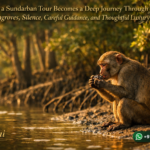 How a Sundarban Tour Becomes a Deep Journey Through Mangroves, Silence, Careful Guidance, and Thoughtful Luxury