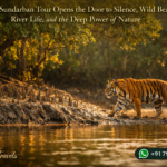 How a Sundarban Tour Opens the Door to Silence, Wild Beauty, River Life, and the Deep Power of Nature