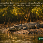 How a Sundarban Tour Turns Distance, Silence, Wildlife, and River Views into One Complete Travel Experience