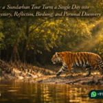 How a Sundarban Tour Turns a Single Day into Mystery, Reflection, Birdsong, and Personal Discovery
