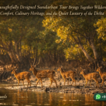 How a Thoughtfully Designed Sundarban Tour Brings Together Wilderness, River Comfort, Culinary Heritage, and the Quiet Luxury of the Delta