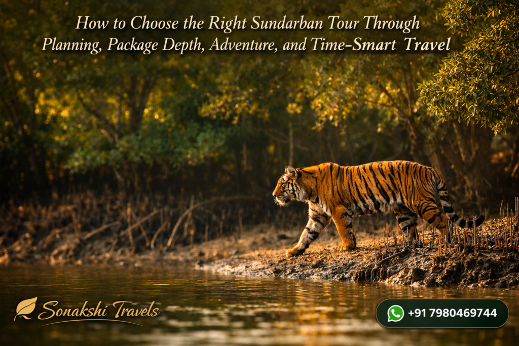 How to Choose the Right Sundarban Tour Through Planning, Package Depth, Adventure, and Time-Smart Travel
