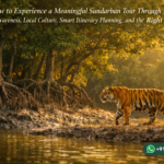 How to Experience a Meaningful Sundarban Tour Through Wildlife Awareness, Local Culture, Smart Itinerary Planning, and the Right Guide