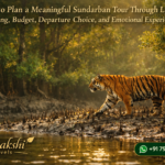 How to Plan a Meaningful Sundarban Tour Through Luxury, Timing, Budget, Departure Choice, and Emotional Experience
