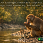 How to Plan a Meaningful Sundarban Tour Through Peace, Private Comfort, Natural Attractions, Stay Choice, and Travel Value