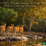 How to Plan a Meaningful Sundarban Tour Through Preparation, Perspective, Comfort, and Travel Design