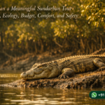 How to Plan a Meaningful Sundarban Tour Through Safari, Ecology, Budget, Comfort, and Safety