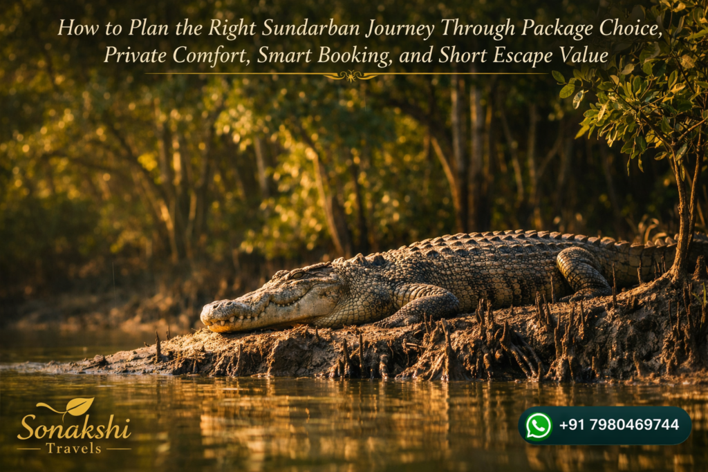 How to Plan the Right Sundarban Journey Through Package Choice