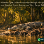 How to Plan the Right Sundarban Journey Through Package Choice