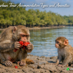 Sundarban Tour Accommodation Types and Amenities
