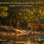 Sundarban Tour During the Quiet Hour of Dusk - Mangroves Glow in Fading Light