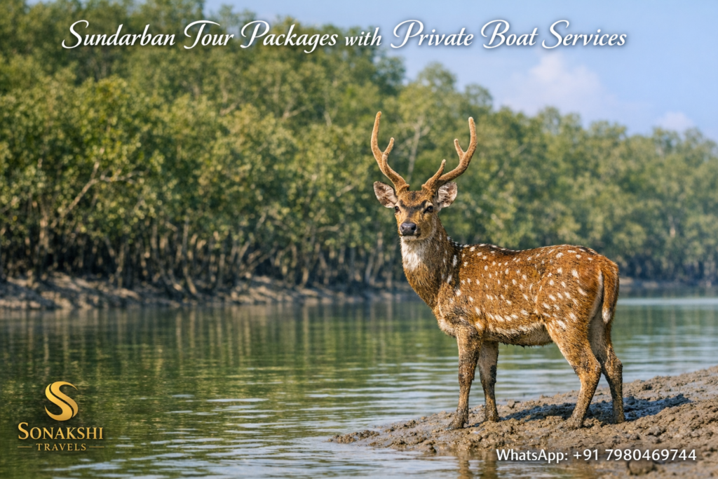 Sundarban Tour Packages with Private Boat Services
