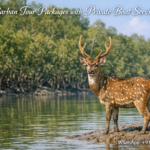 Sundarban Tour Packages with Private Boat Services