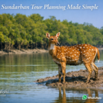 Sundarban Tour Planning Made Simple