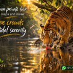 Sundarban private tour beyond maps and noise