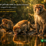 Sundarban private tour for fearless dreamers