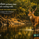 Sundarban private tour for souls craving wild