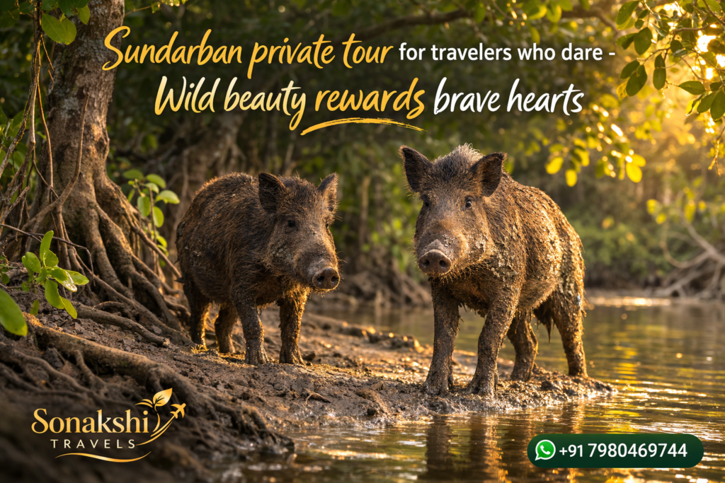 Sundarban private tour for travelers who dare