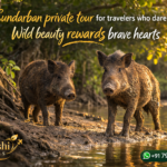 Sundarban private tour for travelers who dare