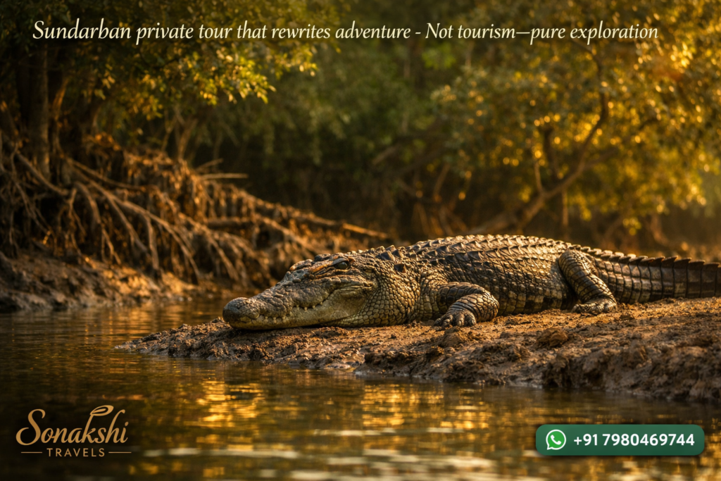 Sundarban private tour that rewrites adventure