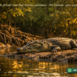 Sundarban private tour that rewrites adventure