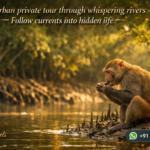 Sundarban private tour through whispering rivers - Follow currents into hidden life