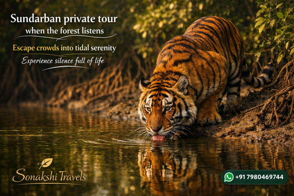Sundarban private tour when the forest listens