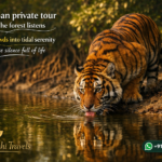 Sundarban private tour when the forest listens