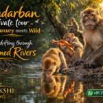 Sundarban private tour where luxury meets wild
