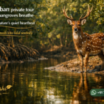 Sundarban private tour where mangroves breathe