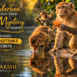 Sundarban private tour where mystery floats