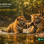 Sundarban private tour where rivers tell secrets
