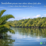 Sundarban private tour where silence feels alive