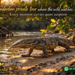 Sundarban private tour where the wild watches