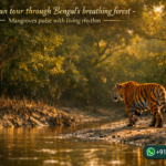 Sundarban tour through Bengal’s breathing forest - Mangroves pulse with living rhythm