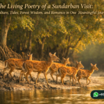 The Living Poetry of a Sundarban Visit: Climate, Culture, Tides, Forest Wisdom, and Romance in One Meaningful Journey