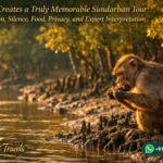 What Creates a Truly Memorable Sundarban Tour: Season, Silence, Food, Privacy, and Expert Interpretation