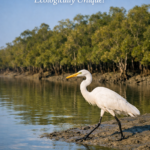 What Makes a Sundarban Tour Ecologically Unique