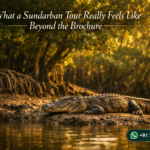 What a Sundarban Tour Really Feels Like Beyond the Brochure