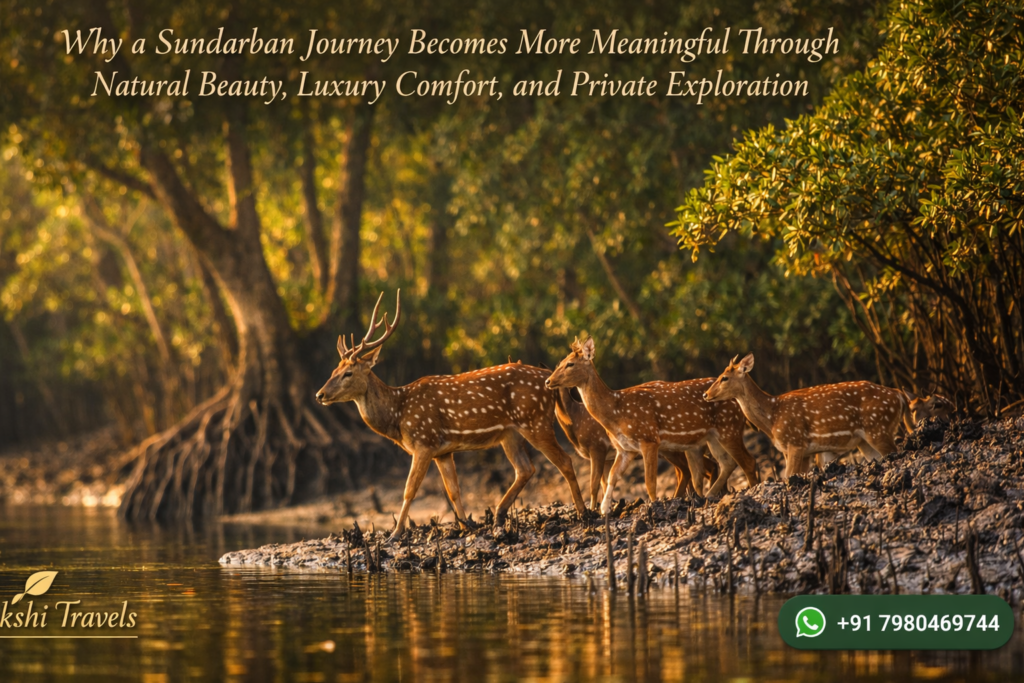 Why a Sundarban Journey Becomes More Meaningful Through Natural Beauty, Luxury Comfort, and Private Exploration